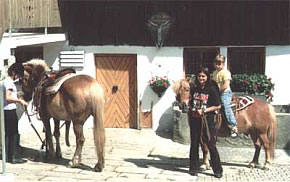 Reiten