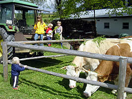 Kinder bei den Kühen