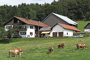 Kronederhof