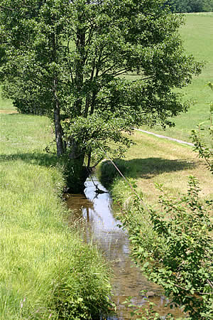 Bayerischer Wald